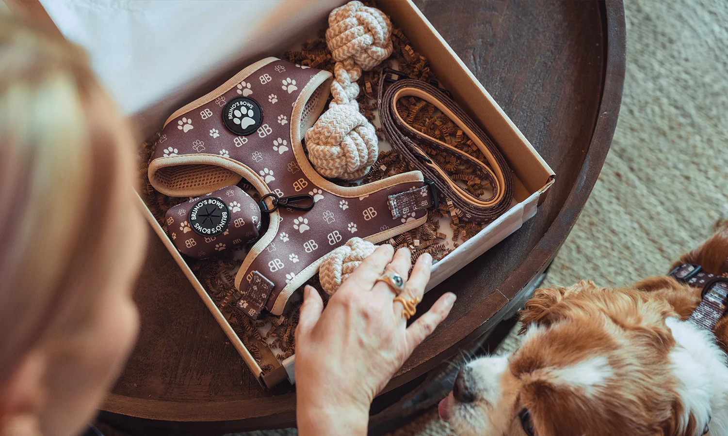 Elevate Your Pup's Daily Style